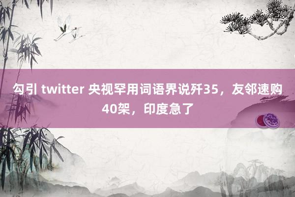 勾引 twitter 央视罕用词语界说歼35，友邻速购40架，印度急了