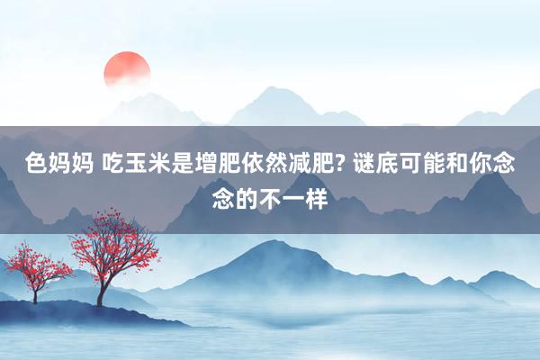 色妈妈 吃玉米是增肥依然减肥? 谜底可能和你念念的不一样