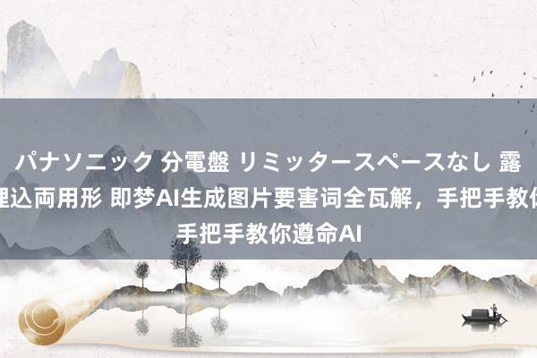 パナソニック 分電盤 リミッタースペースなし 露出・半埋込両用形 即梦AI生成图片要害词全瓦解，手把手教你遵命AI