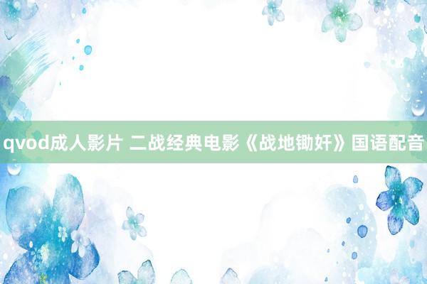 qvod成人影片 二战经典电影《战地锄奸》国语配音
